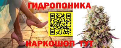 гашик Обь